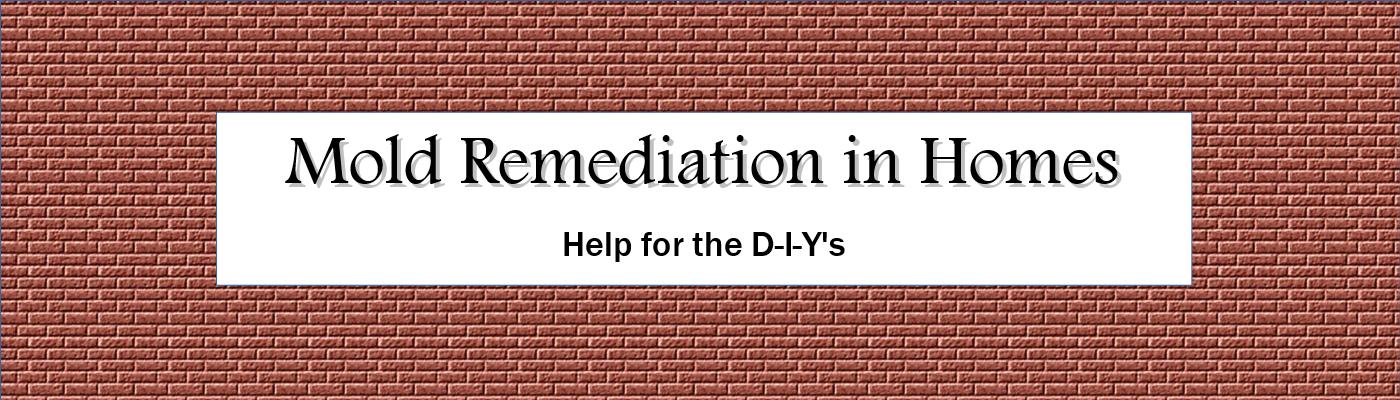 Mold Remediation in Homes
